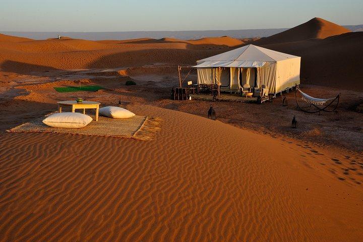 4stars Great loup of south 7days_6n from Marrakech every Tuesday-5