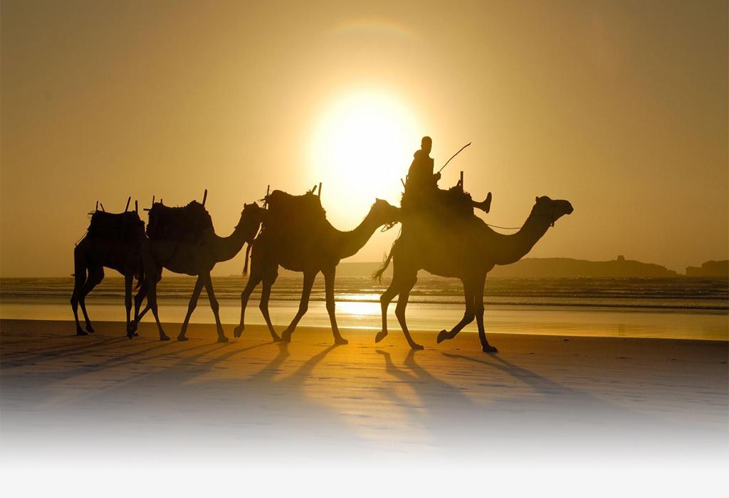 Essaouira-ride-on-camel-at-sunset