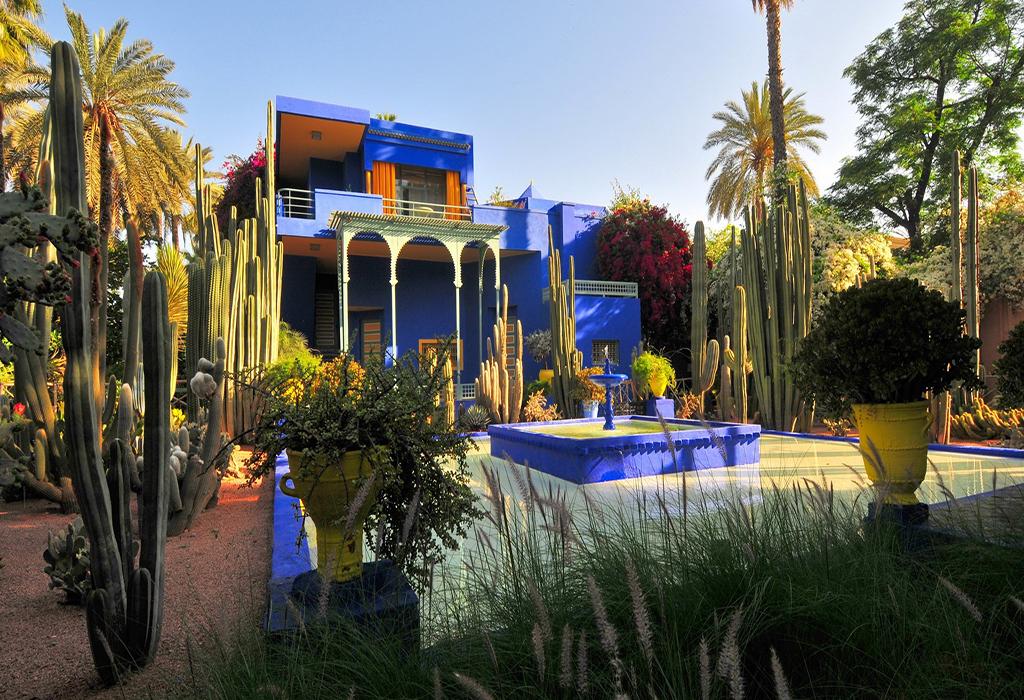 Morocco-Marrakech-Jardin-Majorelle-Nature-Wallpapers-and-photos