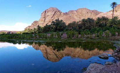 Tour-from-Ait-BenHaddou-to-Fint-Oasis.-410×250