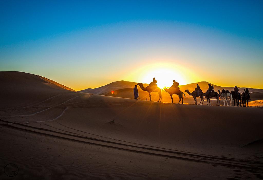 camel-ride-desert-fez-to-marrakech-tours
